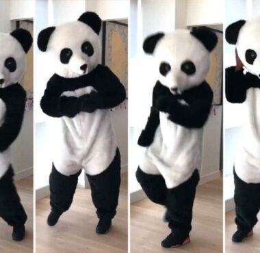 FIFAPRO SPORT PREVIEW patrice panda